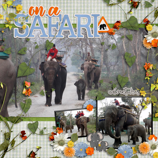 On A Safari