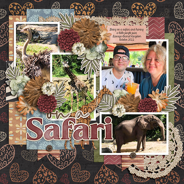 On A Safari