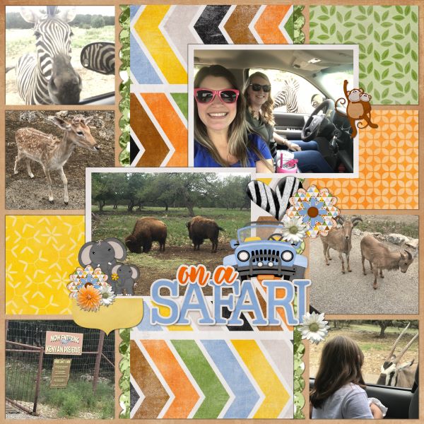 On a Safari