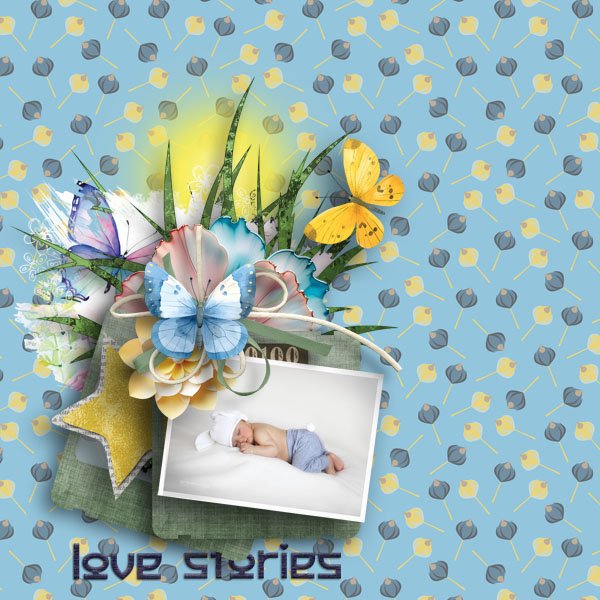 On Butterfly Wings