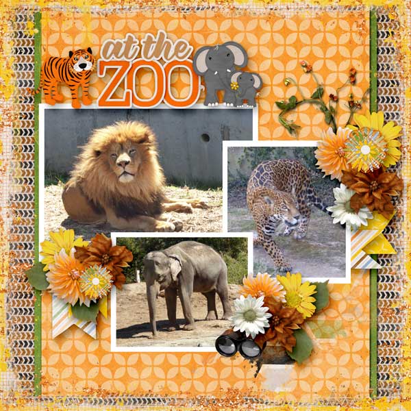 on-safari-aimee-hcap_wildth