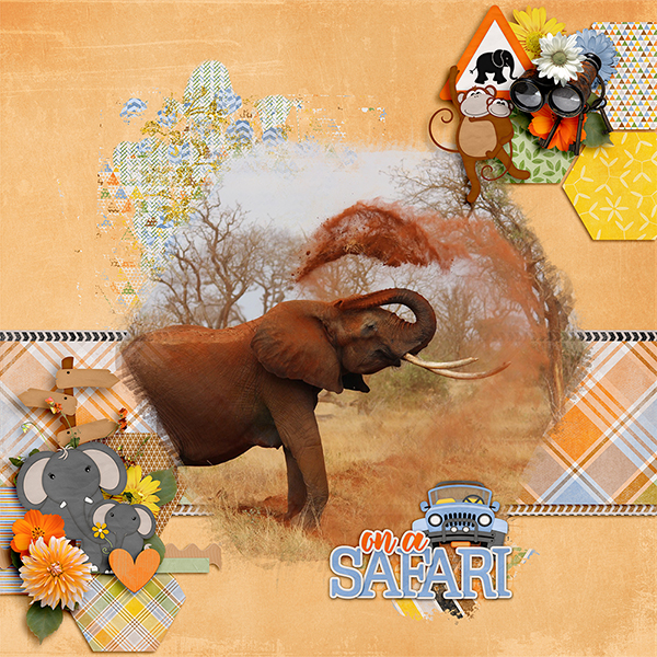 On safari