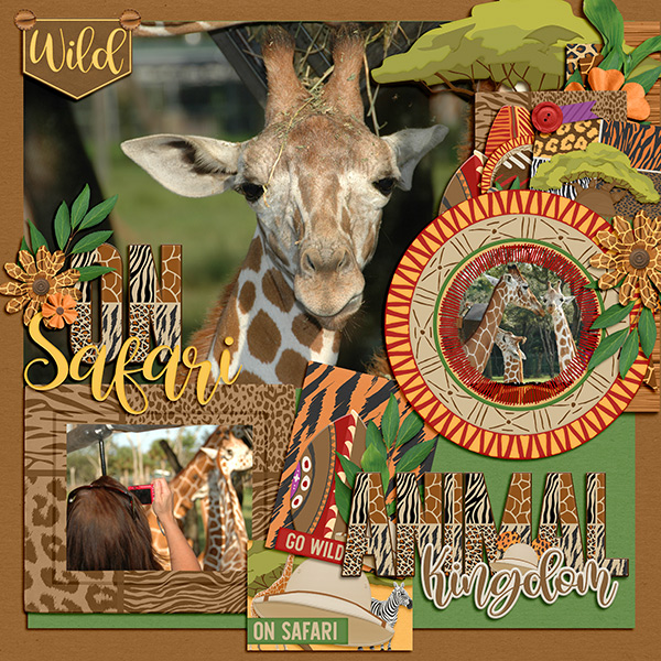 On Safari