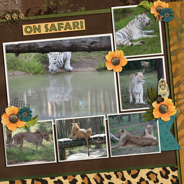 on Safari