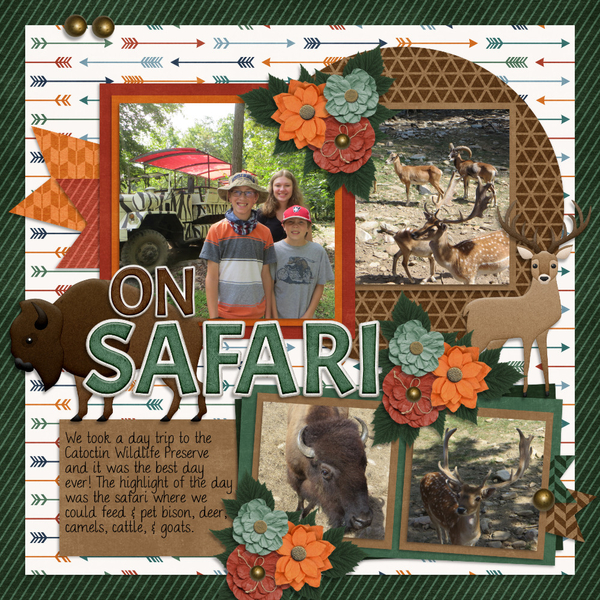 On Safari