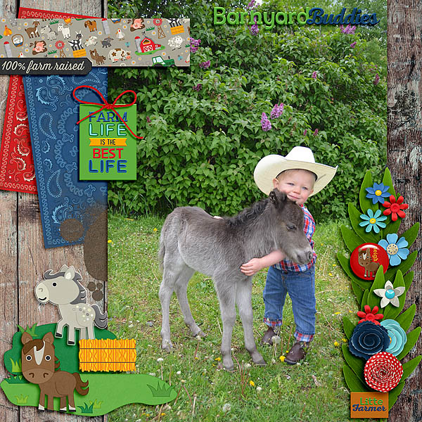 On the Farm