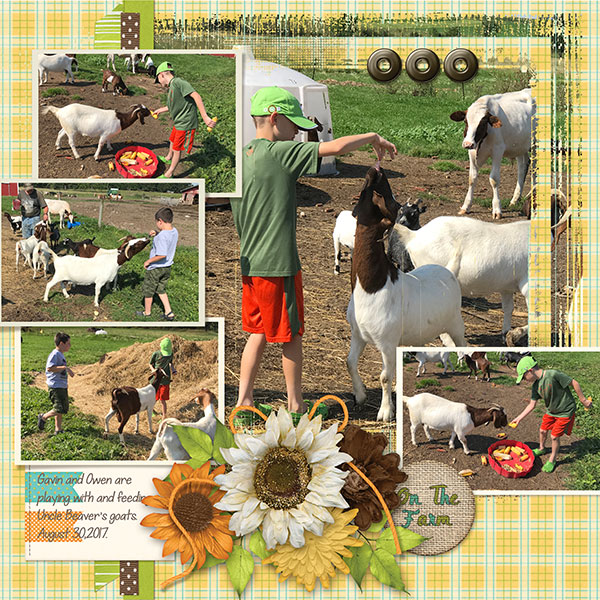 On The Farm