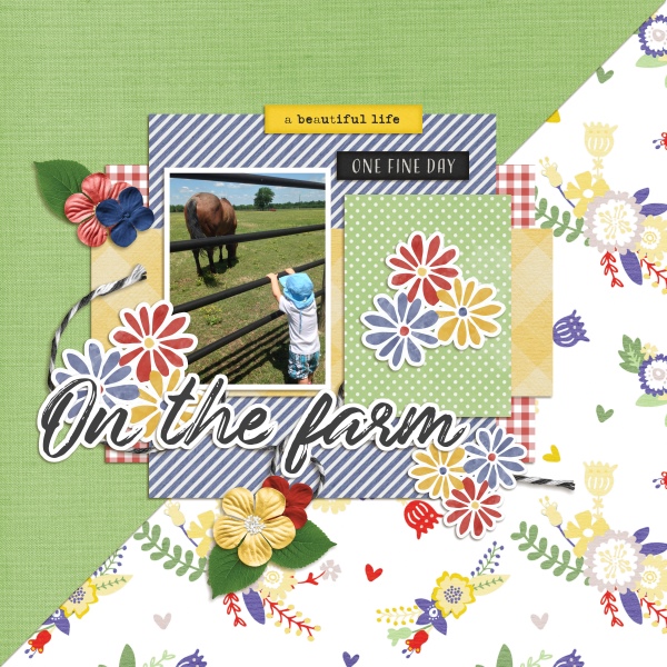 On the farm