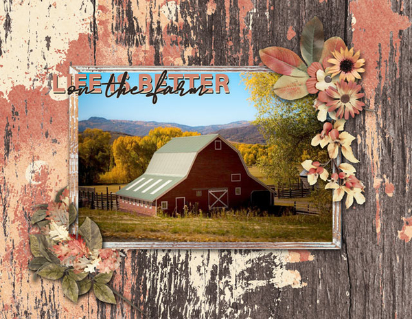 on the farm