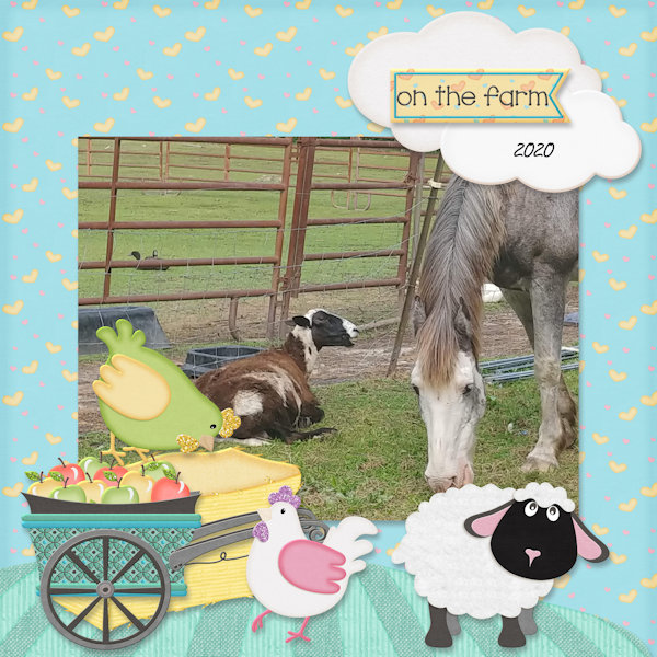 On The Farm