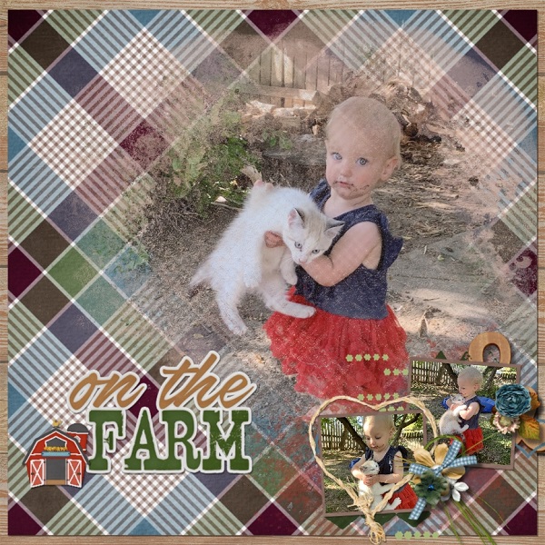 On the Farm