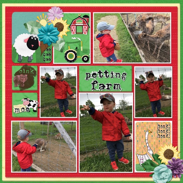 On The Farm