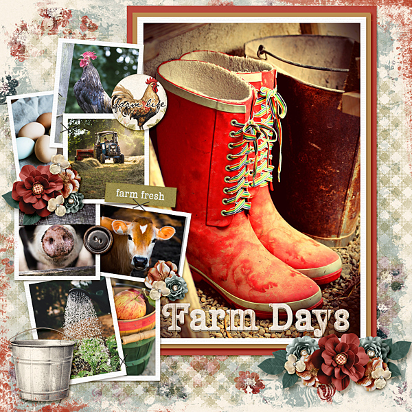 On the Farm