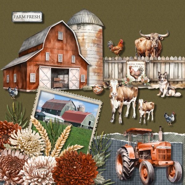 On The Farm