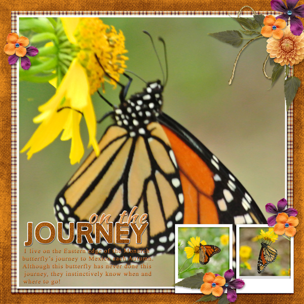 on the JOURNEY
