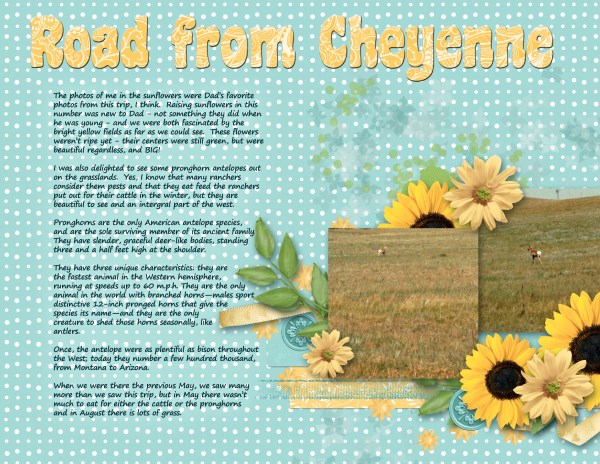 On the Road from Cheyenne