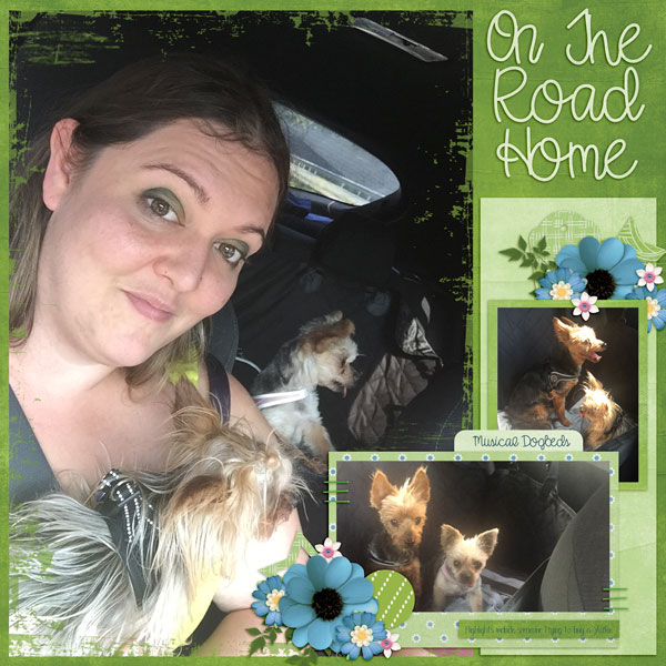 On The Road Home