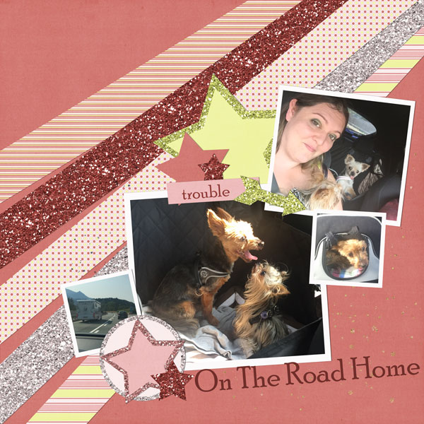 On the Road Home