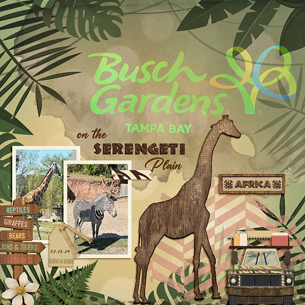 on the Serengeti
