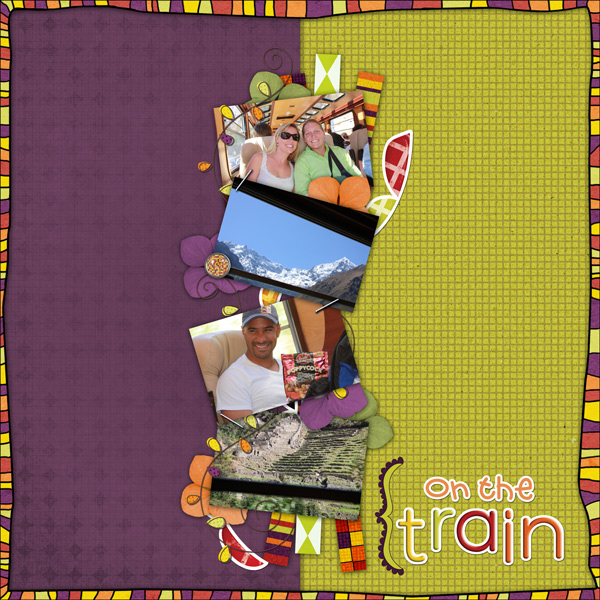 On the Train - Machu Picchu