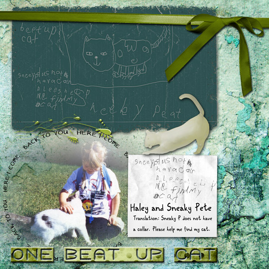 One Beat-Up Cat
