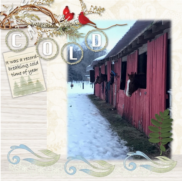 One Cold Year
