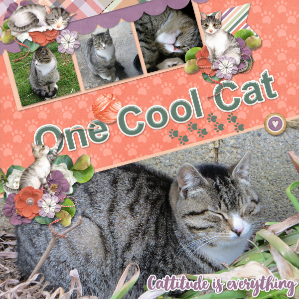 One Cool Cat