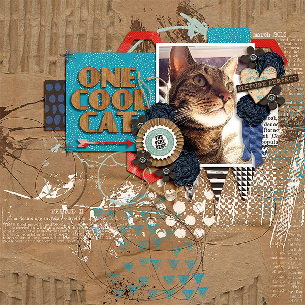 one cool cats