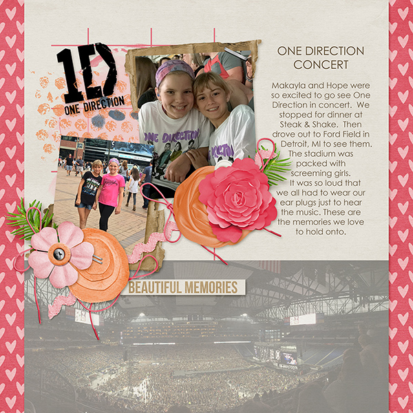One Direction Concert