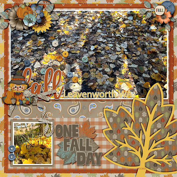 One fall day