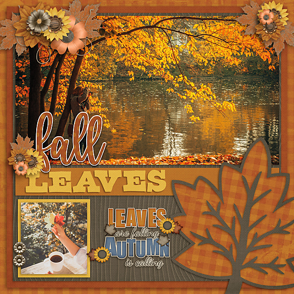 One Fall Day
