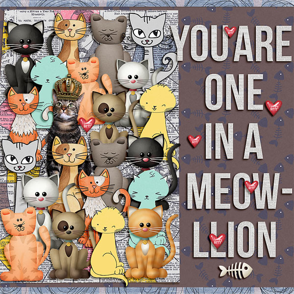 one in a meow