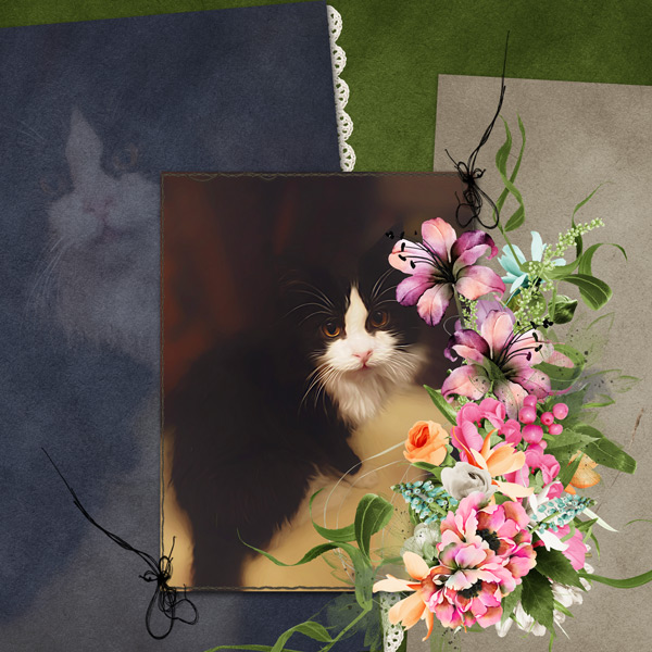 one kitty