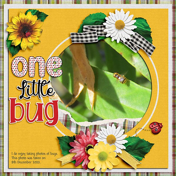 One Little Bug