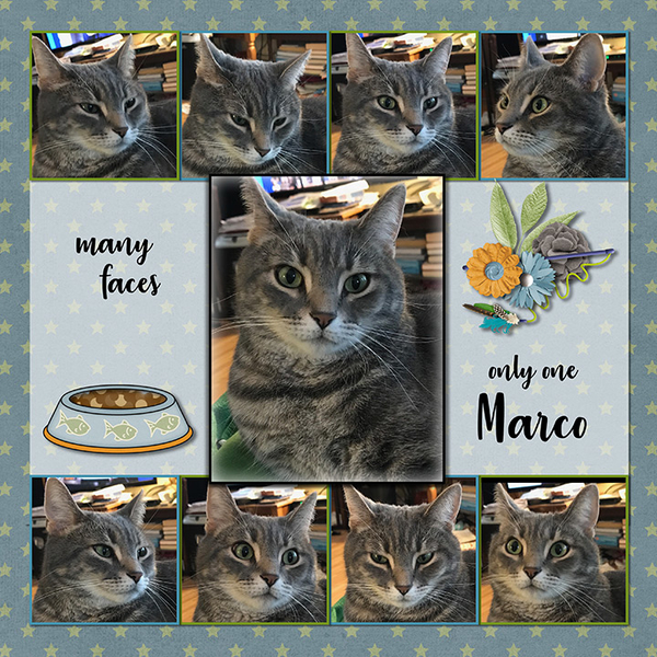One Marco