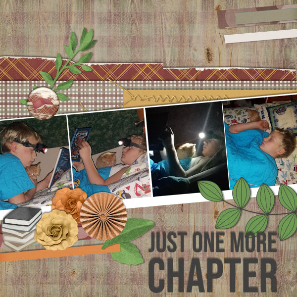 One More Chapter
