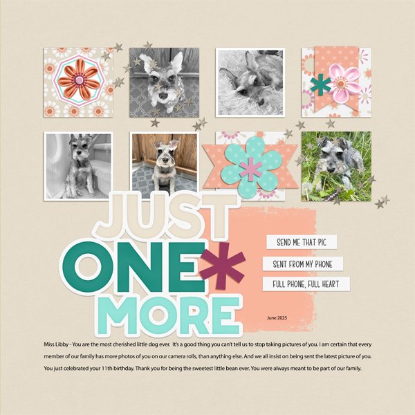 One More Time | J.Conlon and Sons