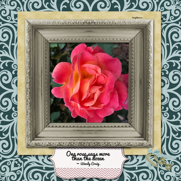 One Rose