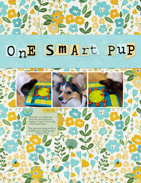 One Smart Pup