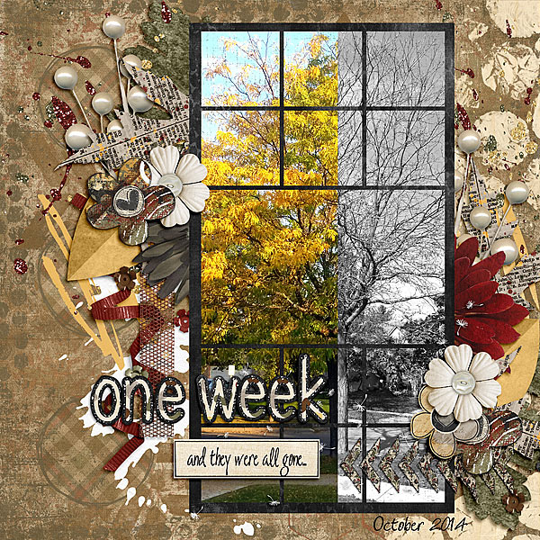 One Week