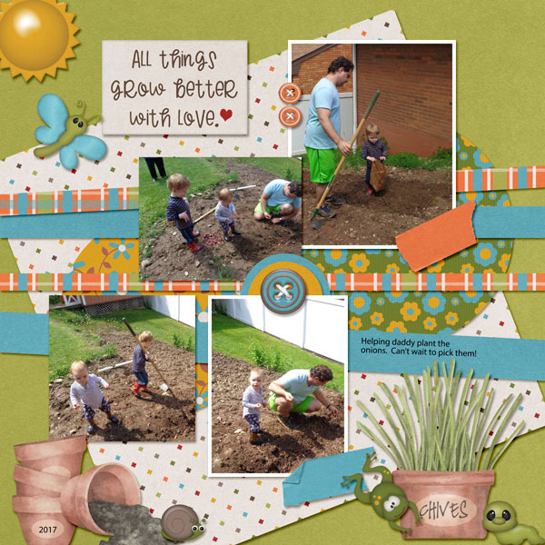Onion Planting