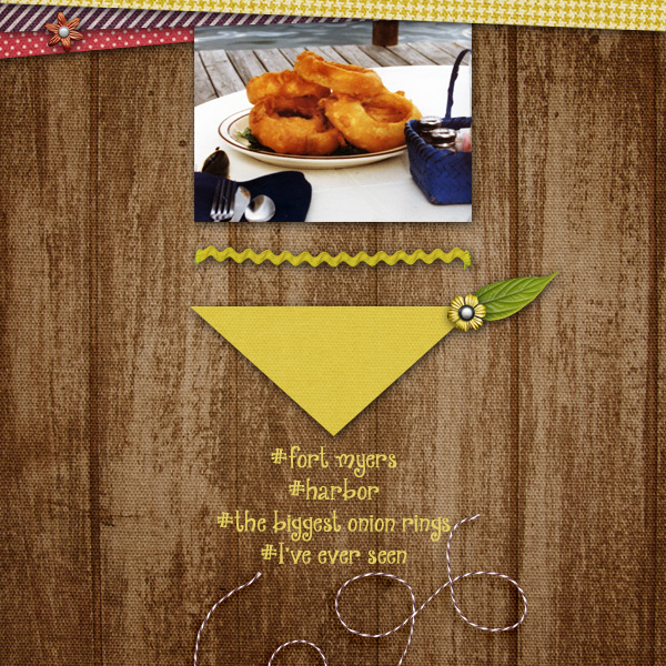 onion rings