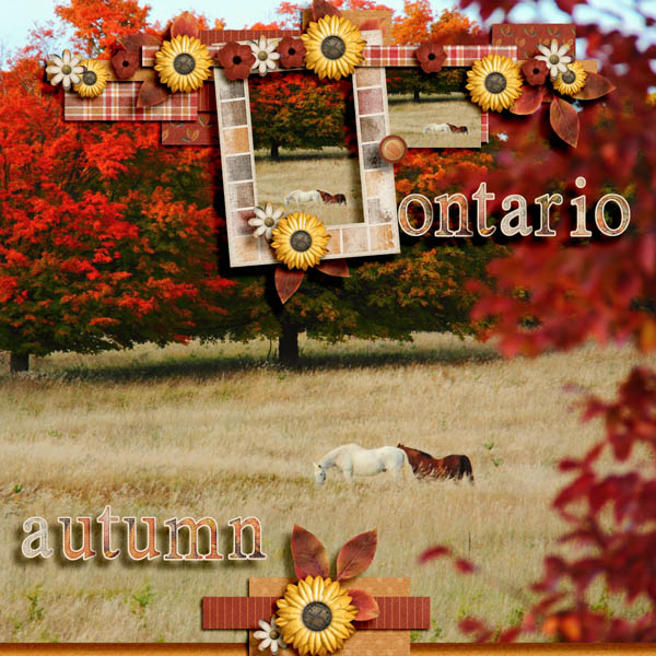 Ontario Autumn
