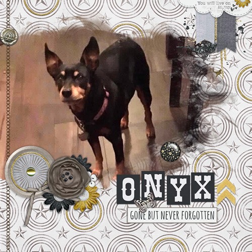 Onyx