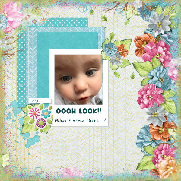 OOOH LOOK!!
