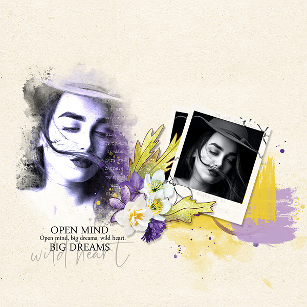 open mind, big dreams, wild heart