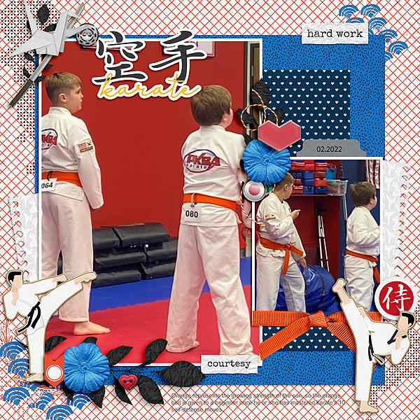 Orange Belt