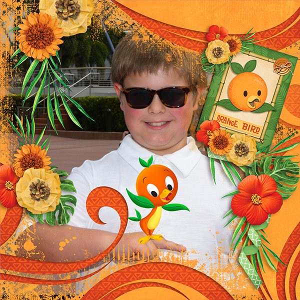 Orange Bird