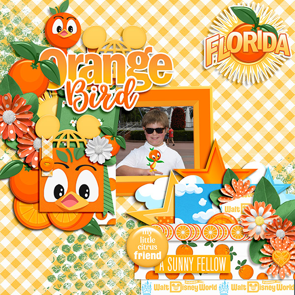 Orange Bird