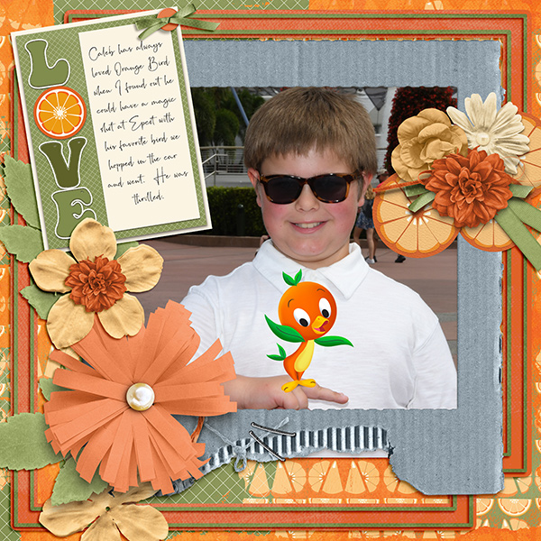 Orange Bird